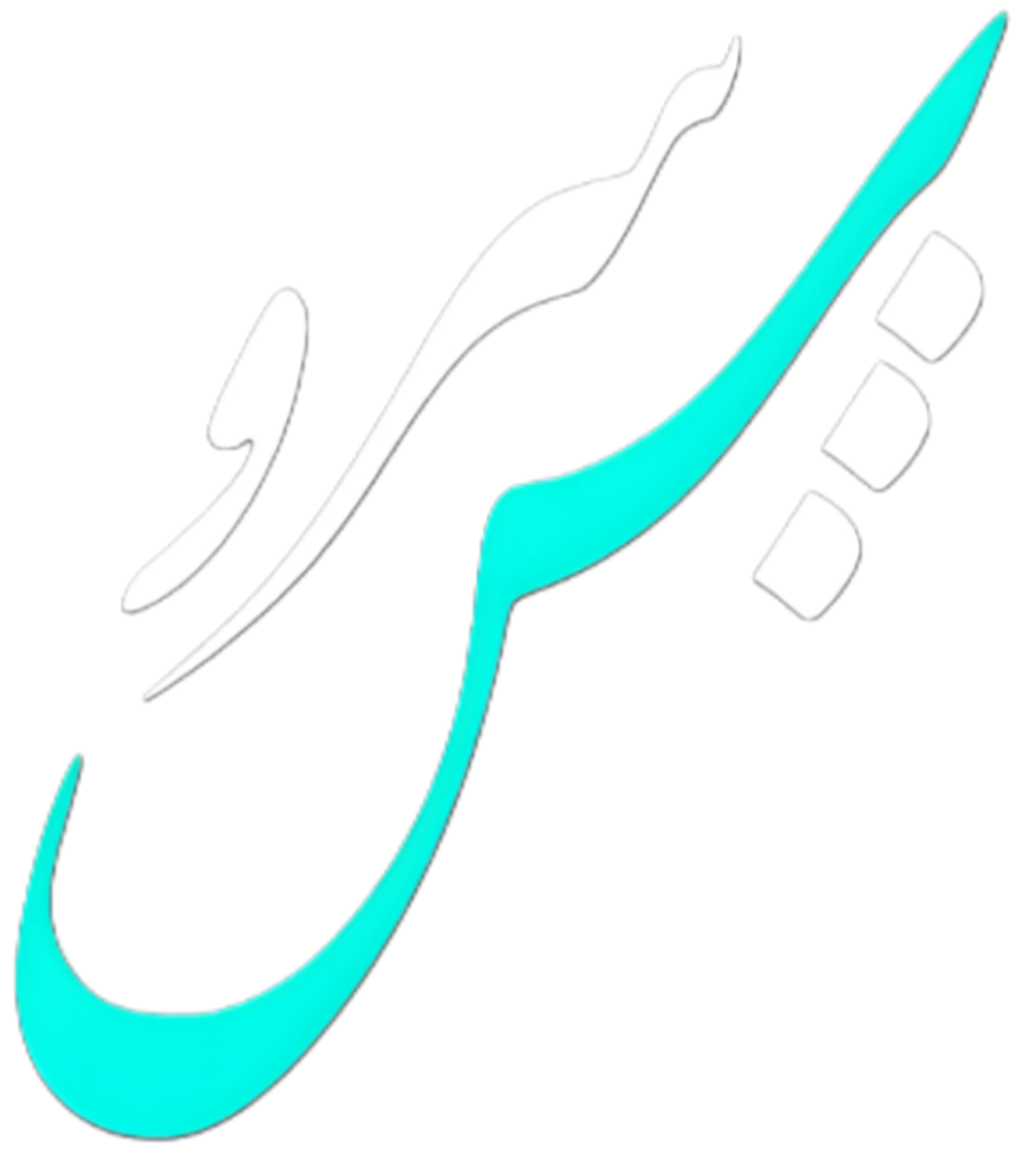 لوگوی شخصی سروش